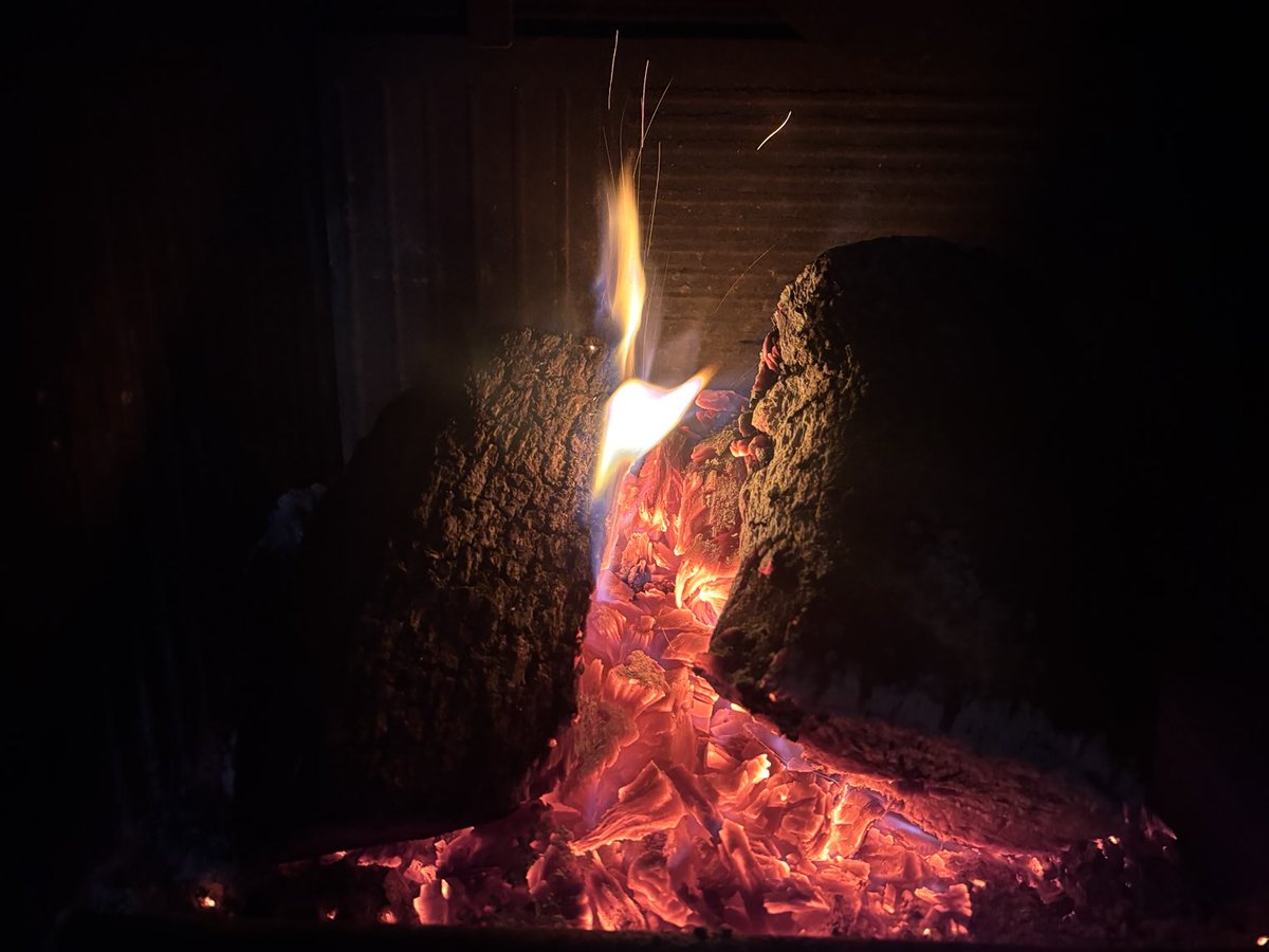 José Paneque tweet media