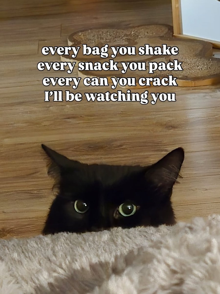 If it crinkles, I appear 👀🤤🐈‍⬛ • • • • • •