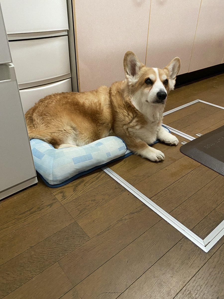 億り人彼氏 tweet media