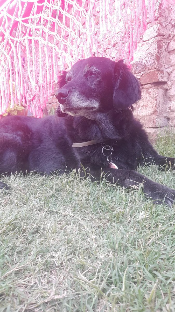 El amor de todas mis vidas.