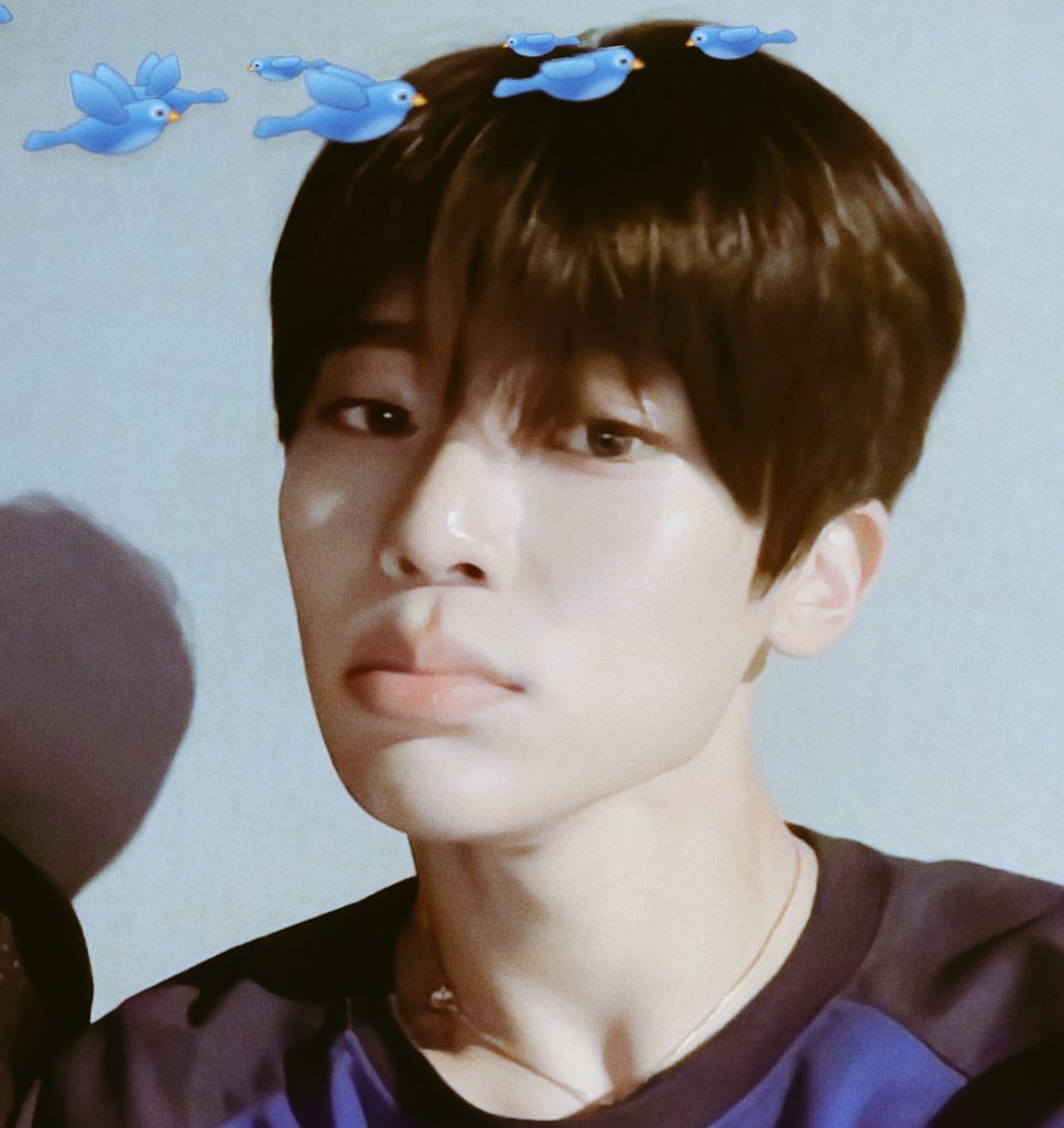 yaoidots's tweet image. Dots they say I look innocent, the bed says it echoes at night. Do you mind to be my another extra pillow? I probably need a bumbum for me to sleep tight tonight. (Top, a tofu softie.)