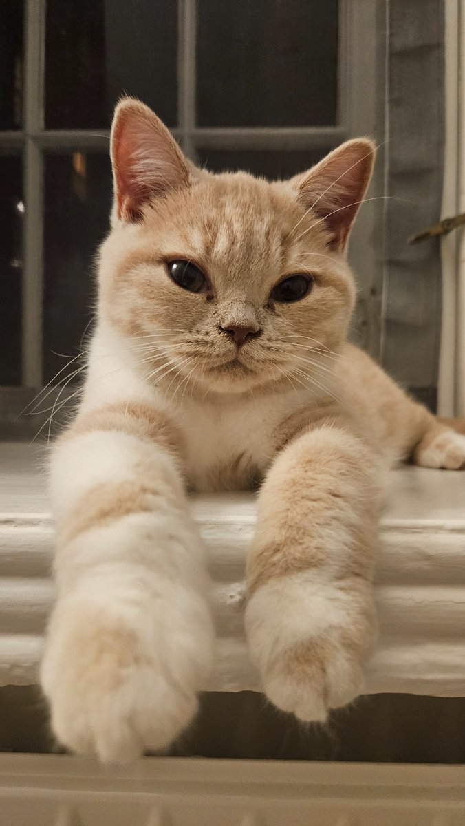 Andy Touch (Same on 🟦⛅) tweet media