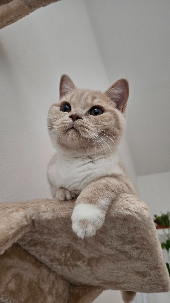 Andy Touch (Same on 🟦⛅) tweet media