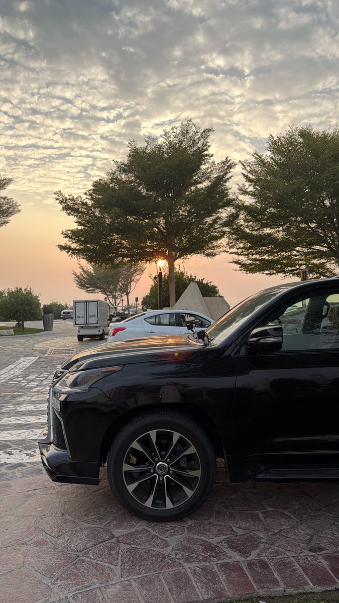 2ib's tweet image. زرعتك وردةٍ بين الحنايـا .. لين ما فارقت .