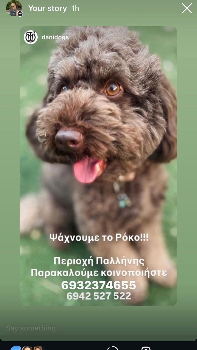 rikoulini's tweet image. Τον ψάχνουν