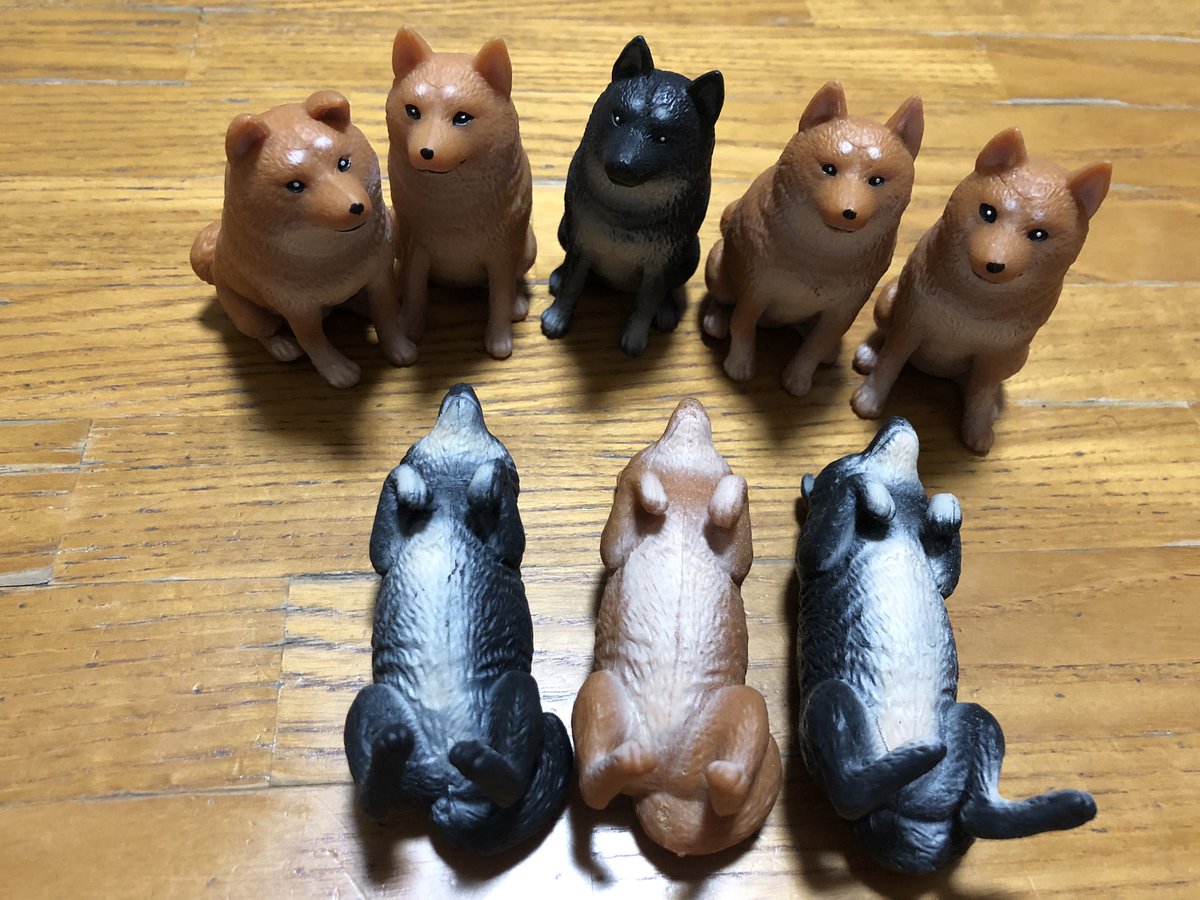 気持ち悪い犬の一味🐕 全部で8匹 1匹お嫁に行く事が決まってめでたい🎉, image size:1200x900