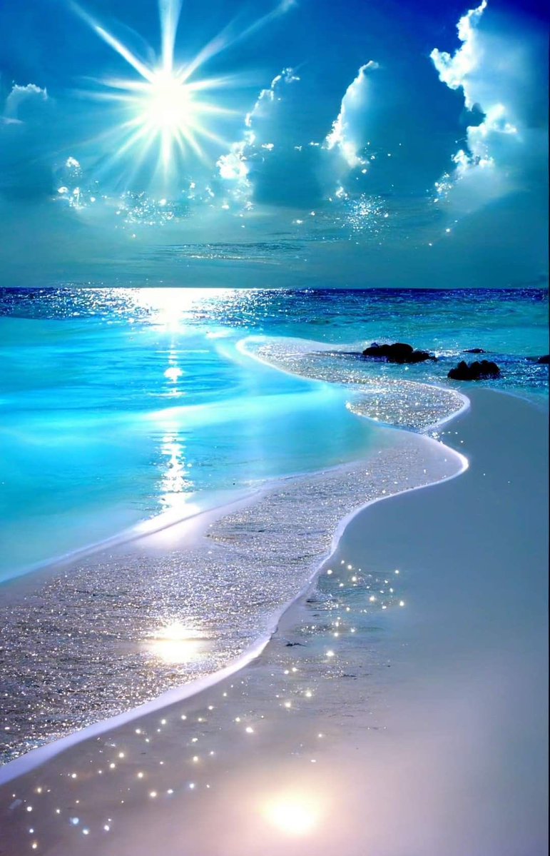 Aesthetics (@aestheticspost_) on Twitter photo 