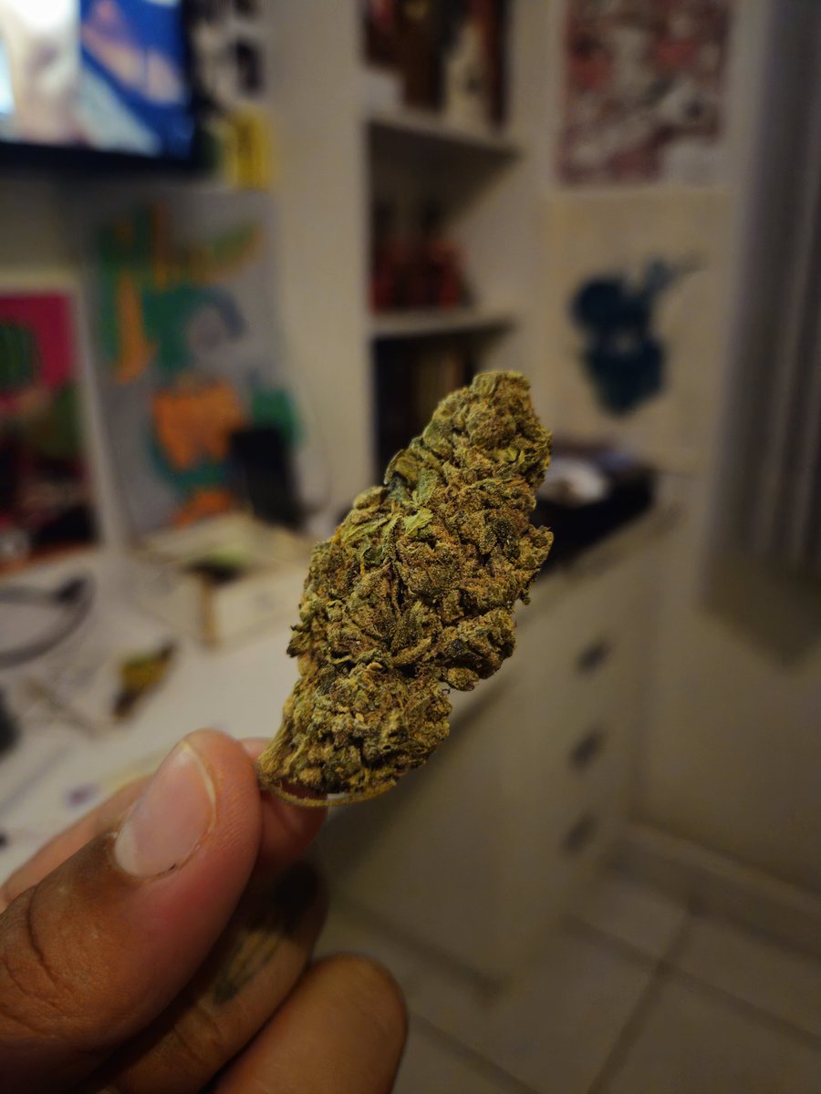 juaumzzzin's tweet image. tudo do bom e do melhor