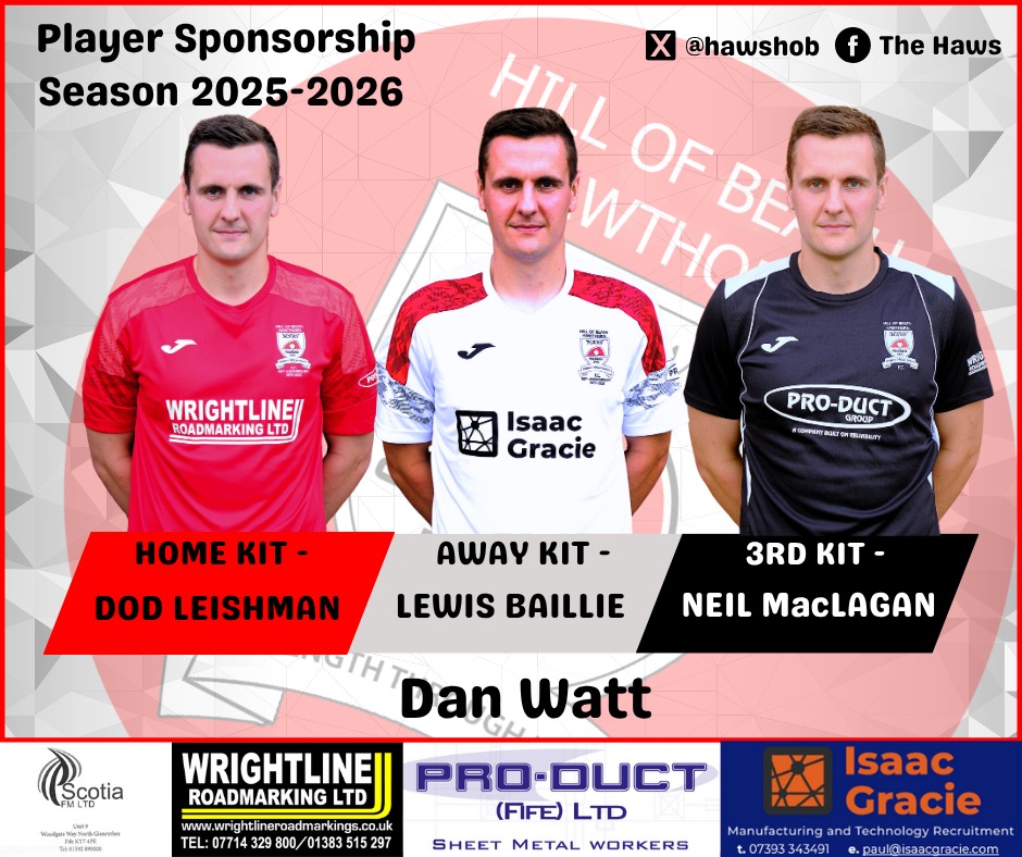 Goal for the HAWS!!!

31' Dundonald 0 - 4 Haws