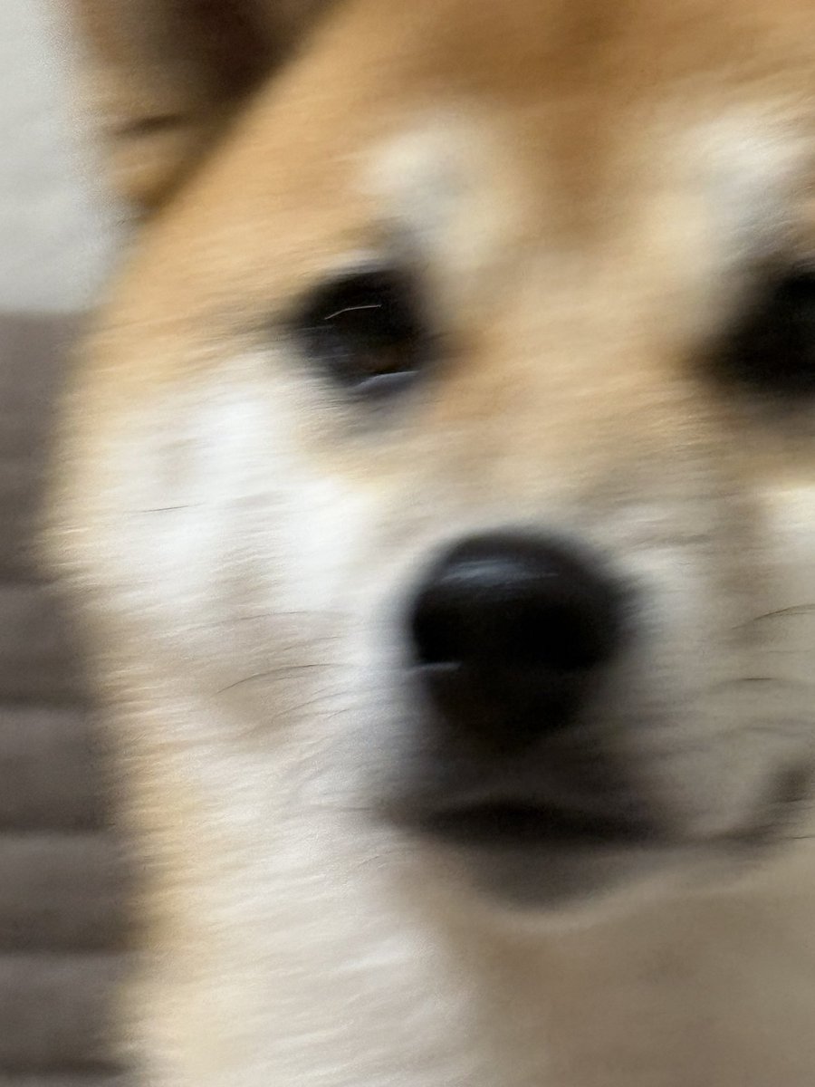 しんたろ (@shintta1993) on Twitter photo 