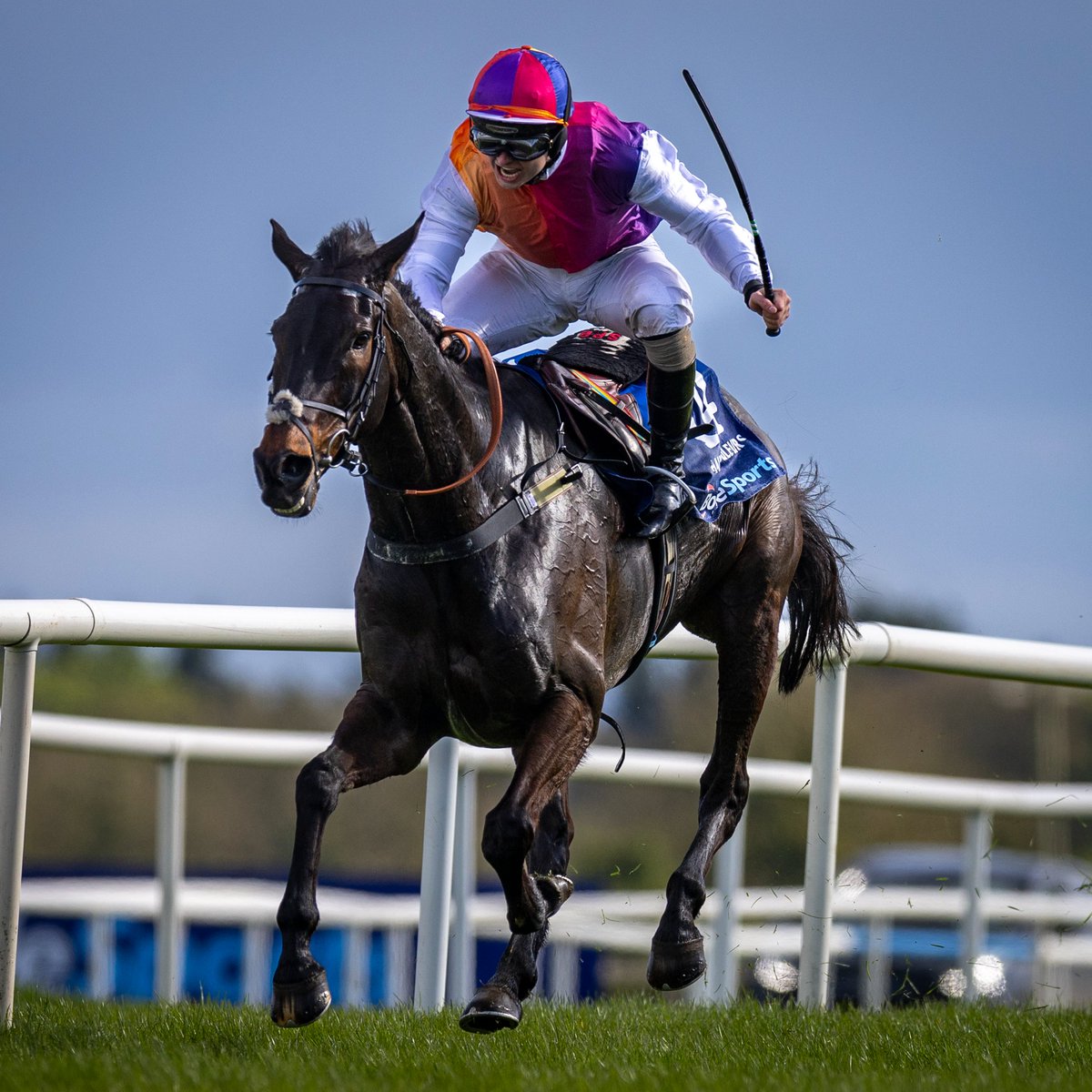 RacingPost's tweet image. HAITI COULEURS wins Coral Welsh Grand National Handicap Chase 🎉