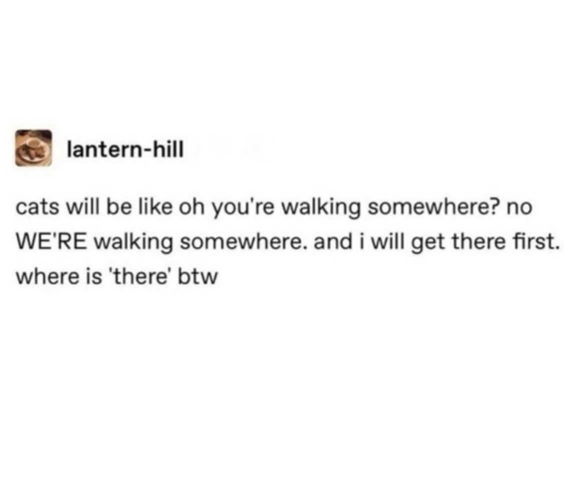 PowerfulAuraX's tweet image. 