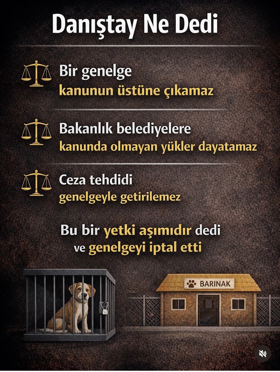 cenkerenonline's tweet photo. Lütfen yayalım arkadaşlar.
#SokakHayvanlarıSahipsizDeğil https://t.co/CXsepDfYvP