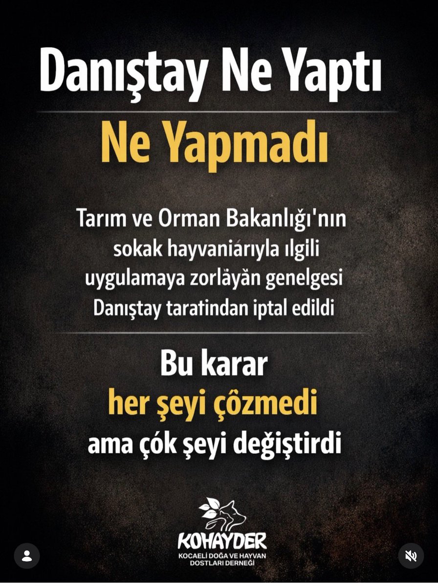 cenkerenonline's tweet photo. Lütfen yayalım arkadaşlar.
#SokakHayvanlarıSahipsizDeğil https://t.co/CXsepDfYvP