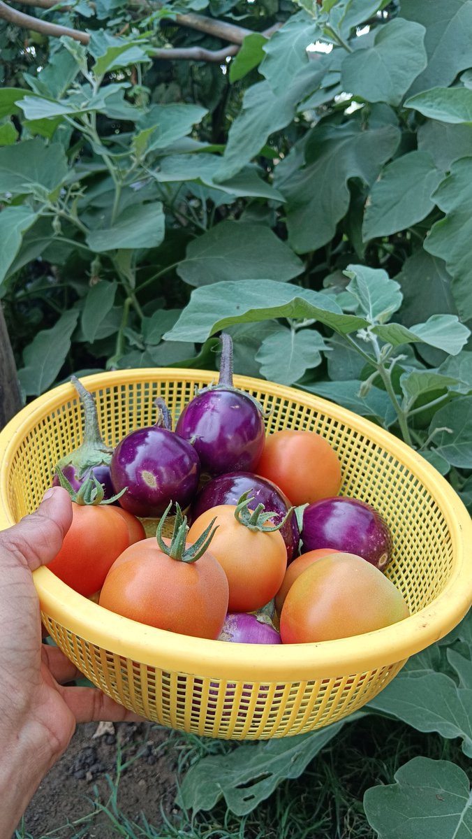 Sheetal Gamit tweet media