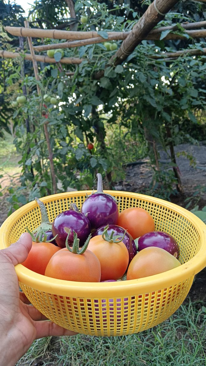 Sheetal Gamit tweet media