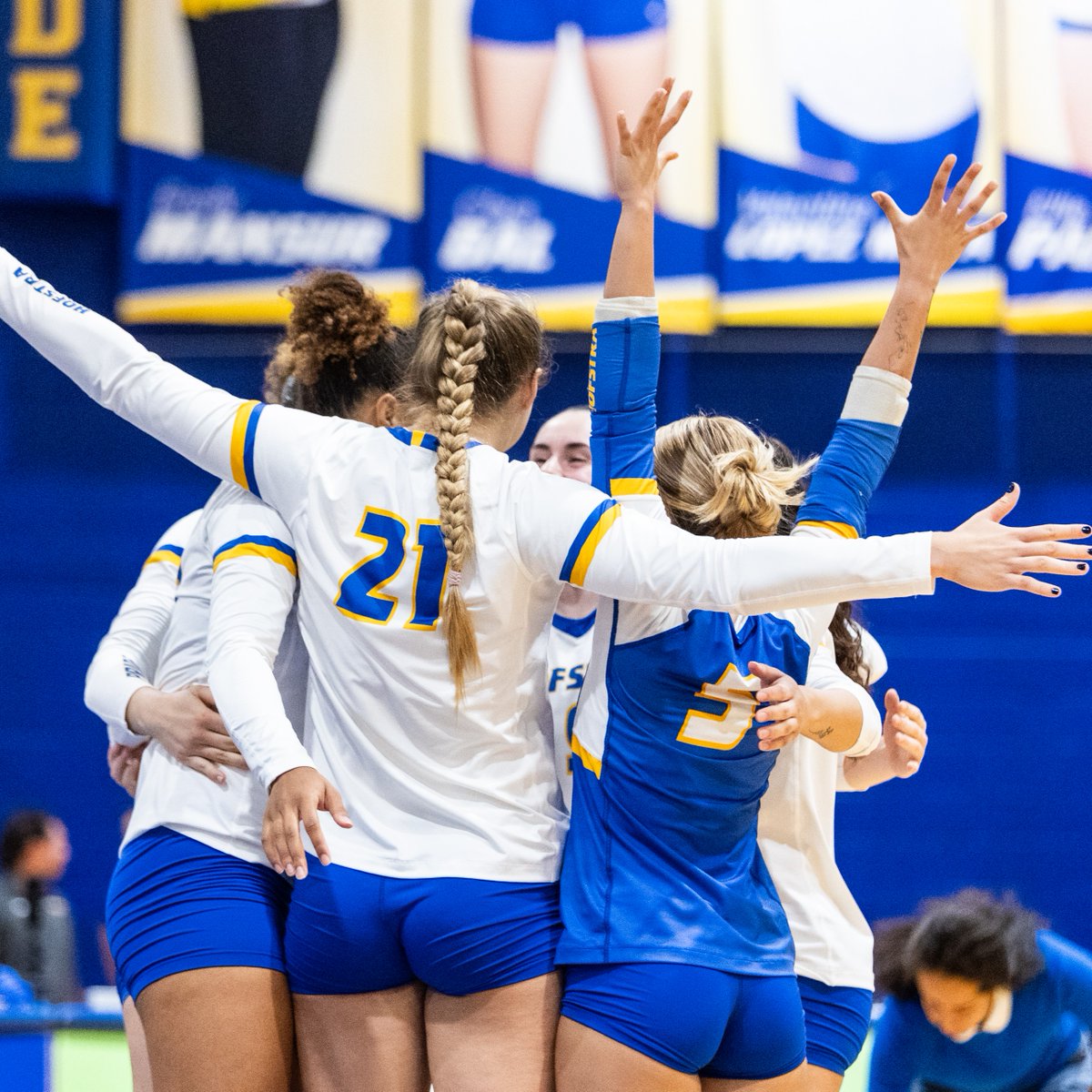 Hofstra Volleyball tweet media