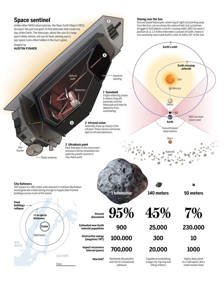 ScienceMagazine's tweet image. More than half of the “city killer” asteroids that might threaten Earth remain undiscovered. With an infrared eye, NASA’s NEO Surveyor aims to find them.

Learn more: scim.ag/48Ofcdo @NewsfromScience