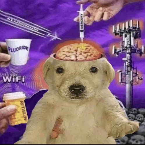 JulOG_'s tweet image. le travail sous ritaline je me suis senti comme ce dog