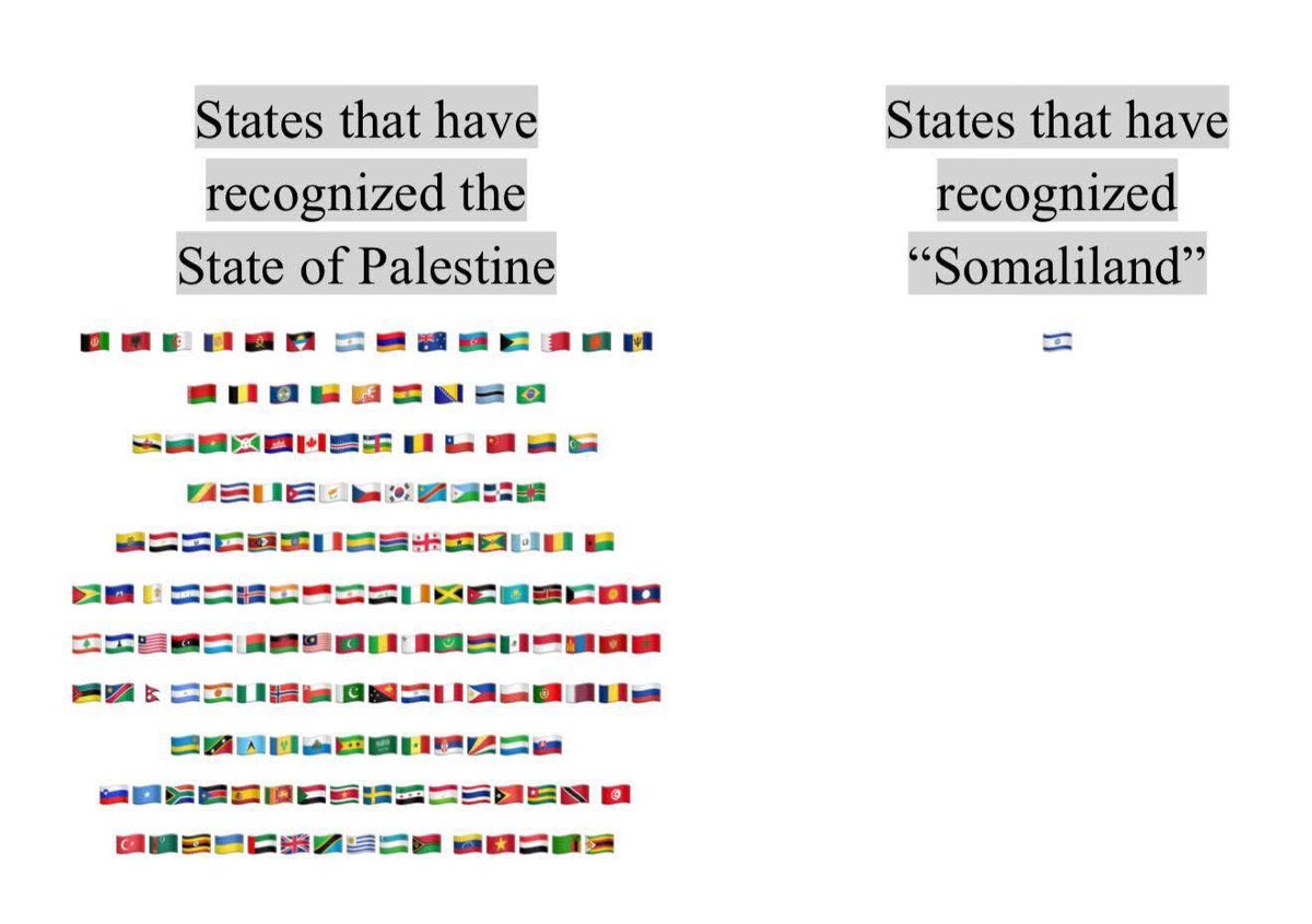 Zahra Abdulahe tweet media