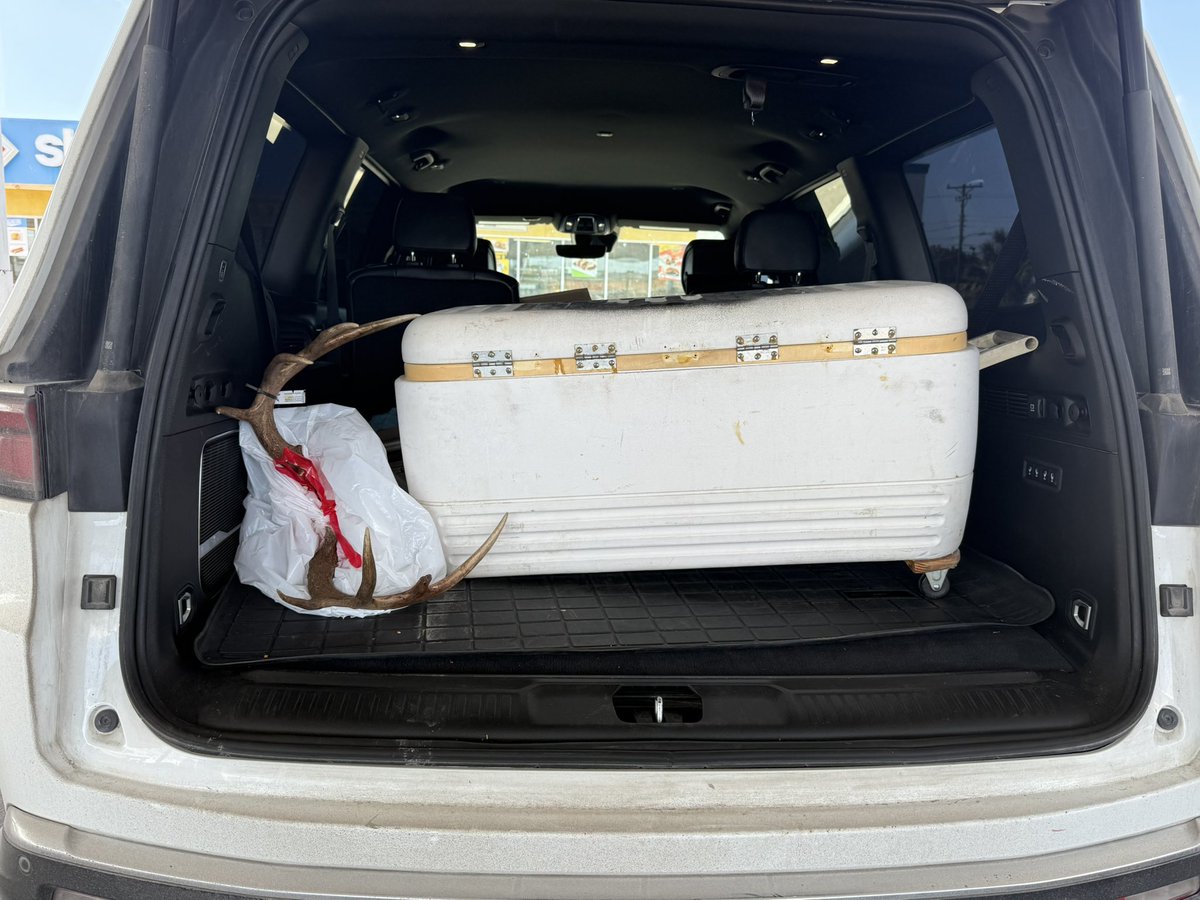 jen-n-juice 🍾🥂 tweet media