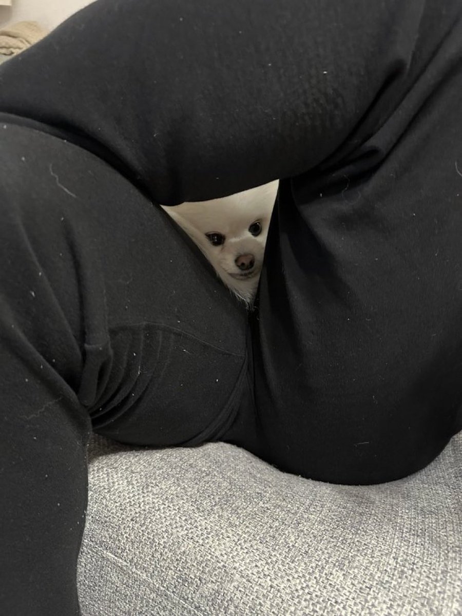 Brenda Farro (@brendafarro) on Twitter photo 