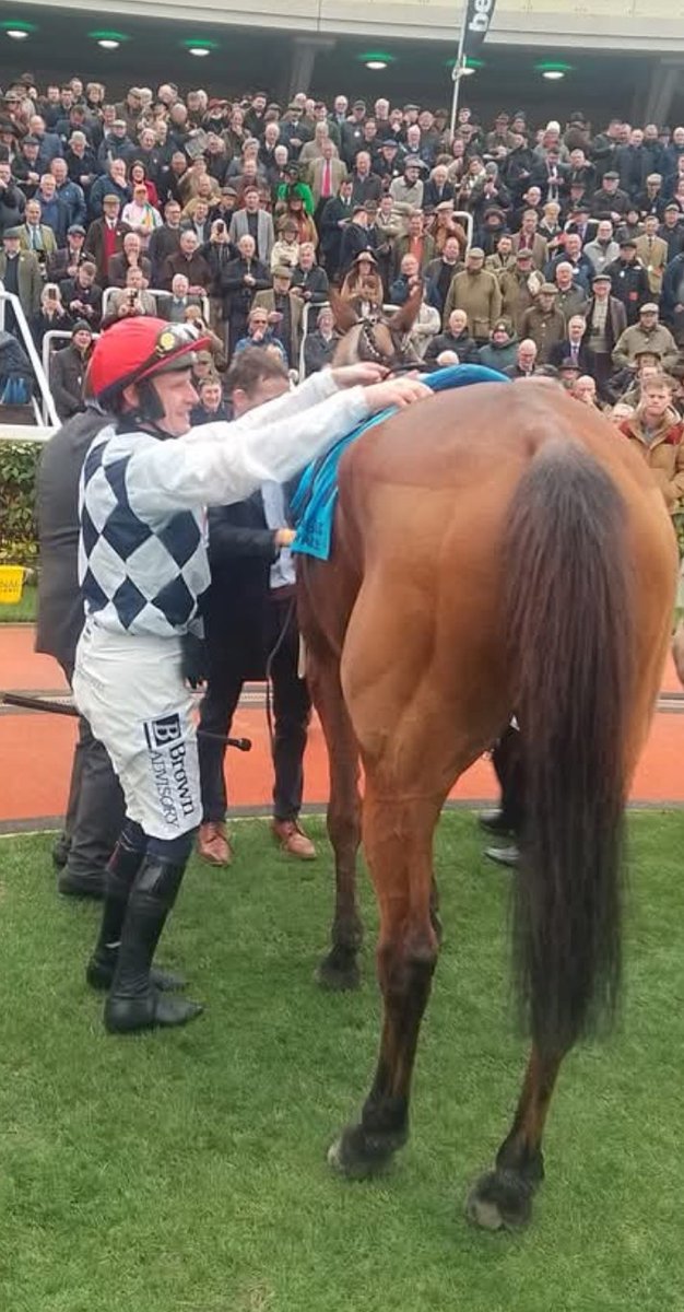 JoeSeward1's tweet image. Unless they put lots of water on the Hurdle track at Leopardstown 
TEAHUPOO won't run in the Christmas Hurdle tomorrow. It's either heavy watering or TEAHUPOO will be a NR with a 30 -35 cent rule 4 depending where you shop .
BALLYBURN would start short 
#Teahupoo 
#Leopardstown