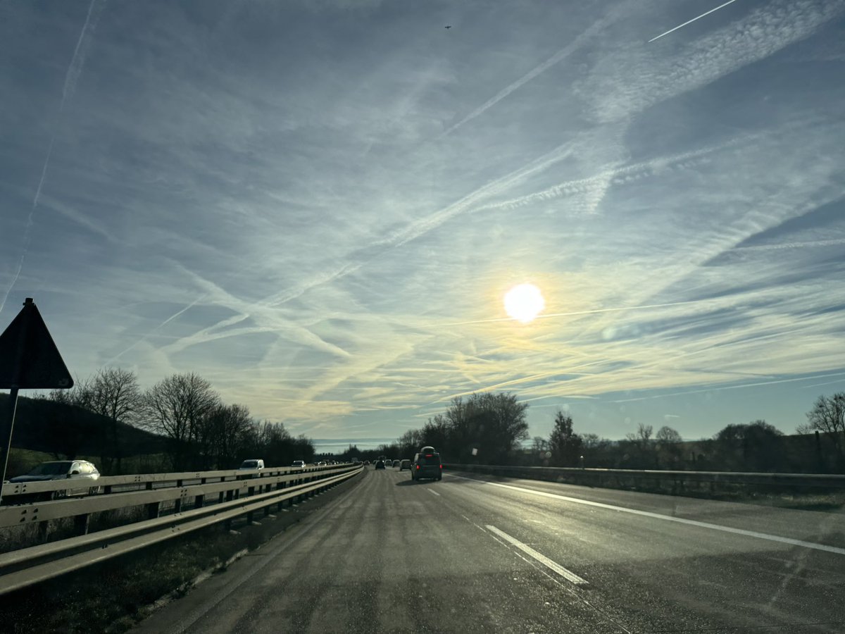 Nicole Höchst, MdB tweet media