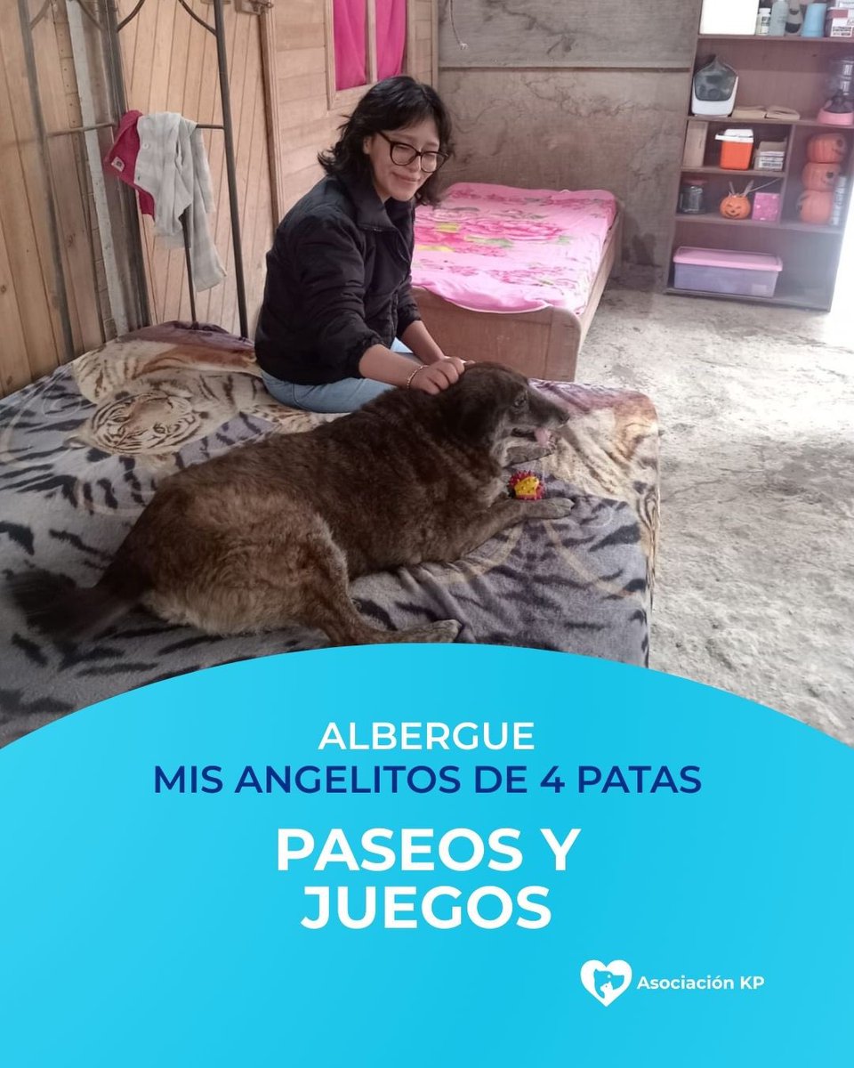 Así vamos despidiendo el año, una experiencia única junto a nuestros peluditos 🐶 Pasamos un día inolvidable en el albergue Angelitos de 4 patas. 🏡❤️ Así como nosotros, tú también puedes ser parte de esta hermosa labor 💪🐾. 

escríbenos al WhatsApp 922 217 265.