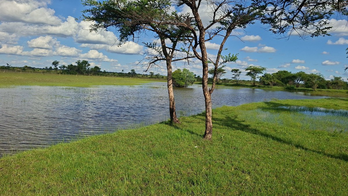 Davis Cattle Company tweet media