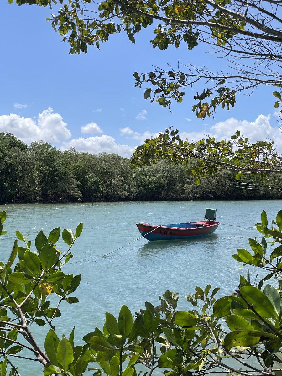 bethaniando's tweet photo. sempre surpreendida pela beleza do ceará https://t.co/LnW3WlmiHl