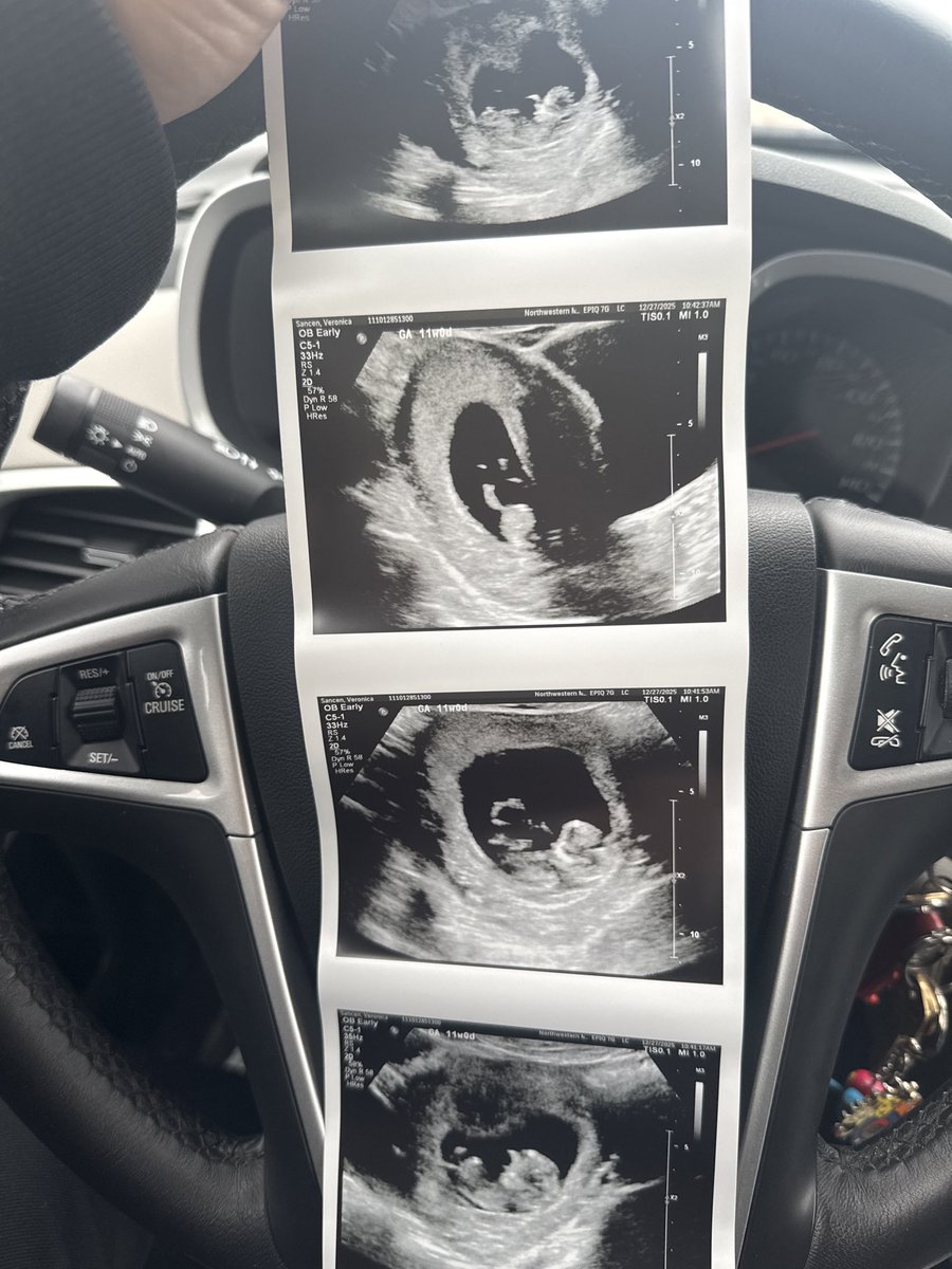 sebastian. tweet media