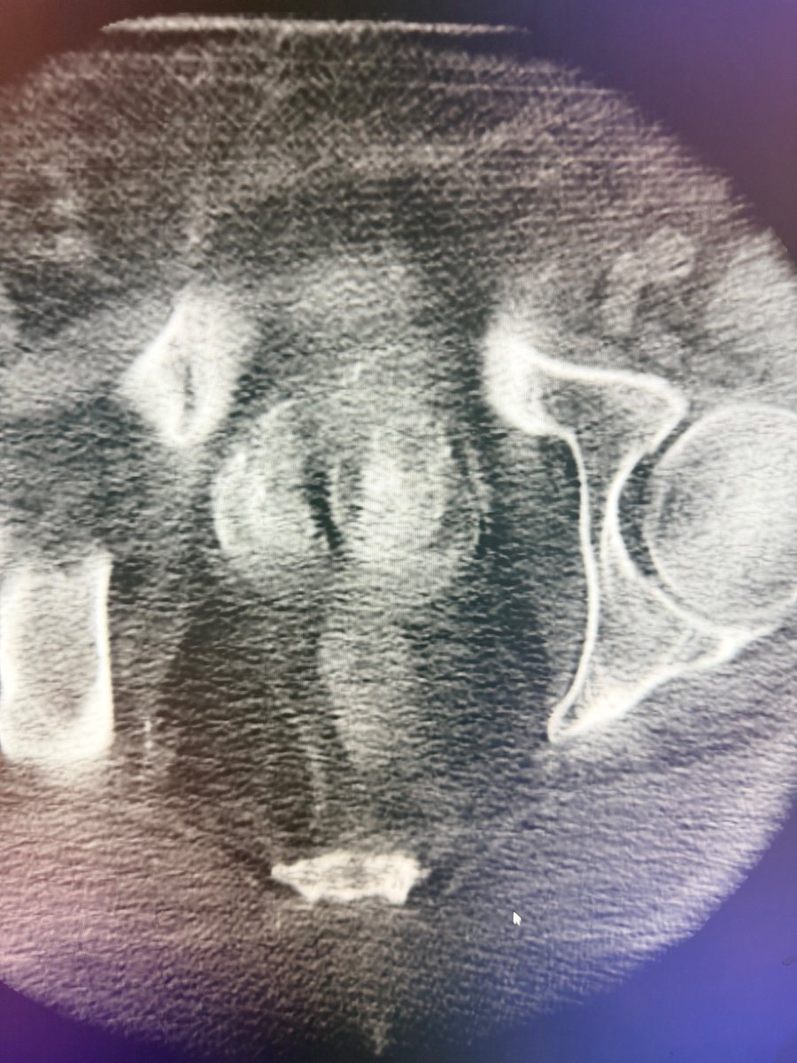 Austin Bourgeois tweet media