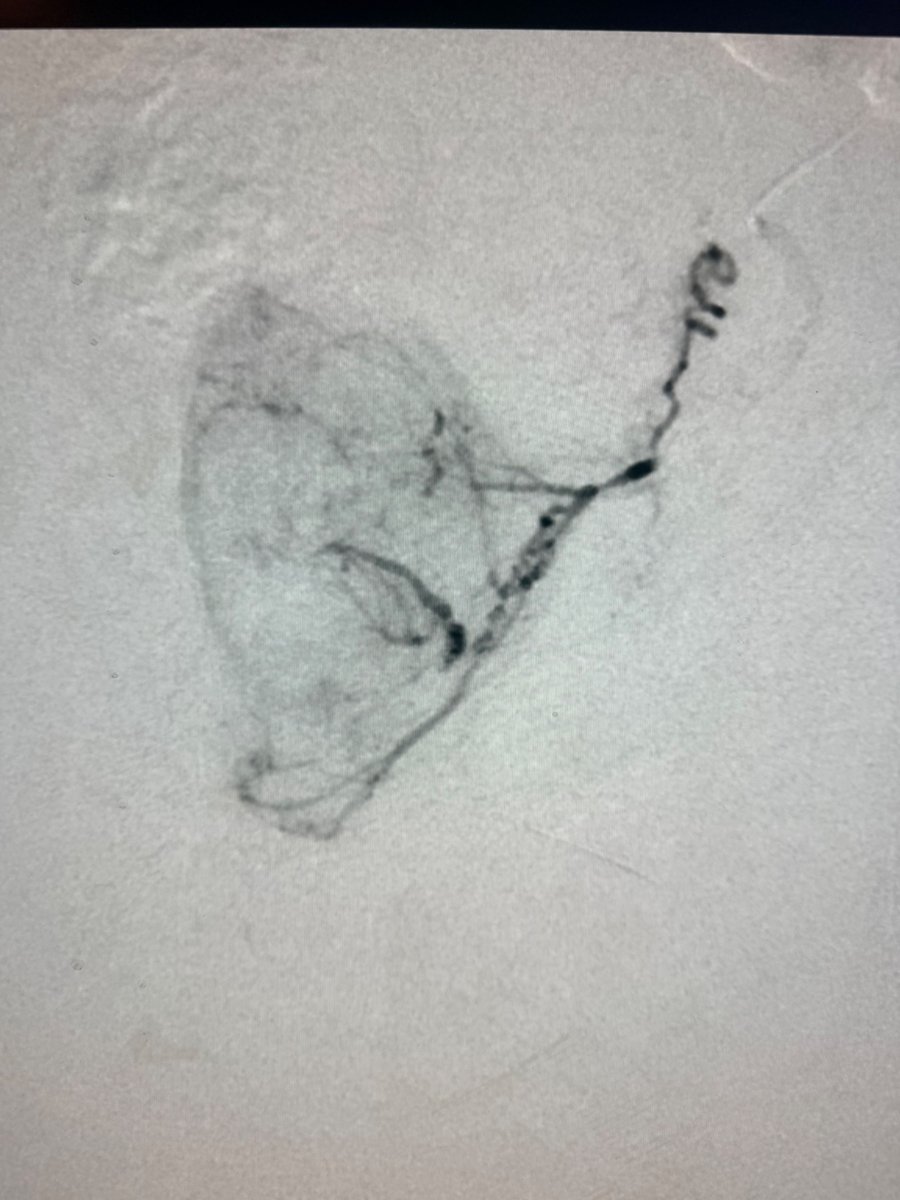 Austin Bourgeois tweet media