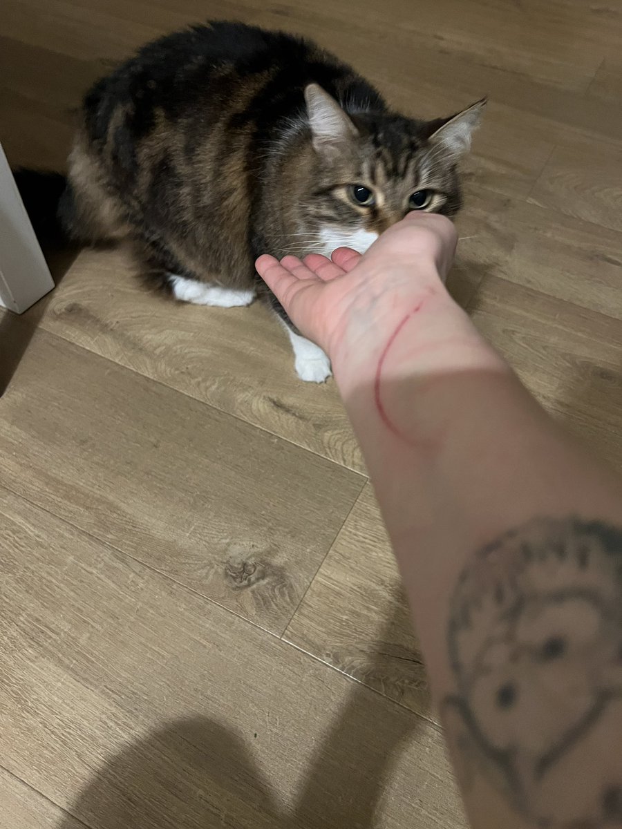 Belayım diyorum kızım niye anlamıyorsun?