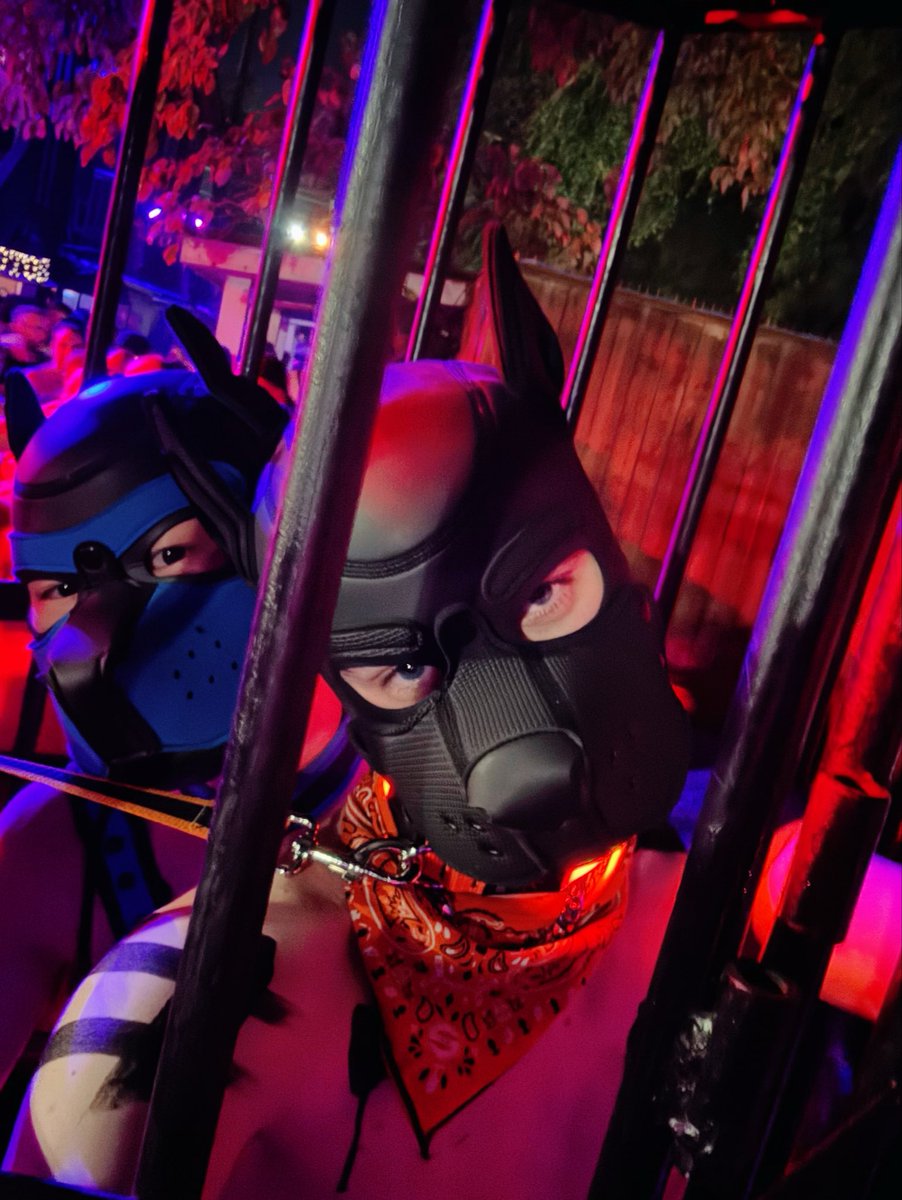 How heck, 300+ likes would mean 300 new spots … I’d be a fully white Dalmatian at that point!~

Well, if anyone is in LA for new years and wants a cute muzzle to paint … feel free to msg and demand mine~ 😈🐶

#pupplay