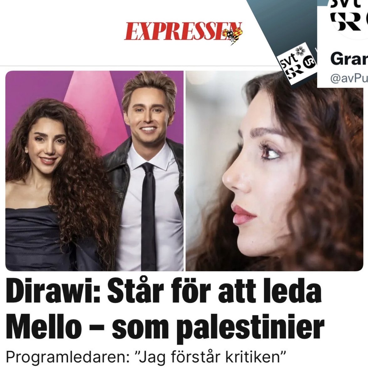 Det är helt ok om en TV-kanal vill hålla på så här, men inte med våra skattepengar. De får köpa all utrustning och alla lokaler av skattekollektivet och sedan leka palestinaaktivister.