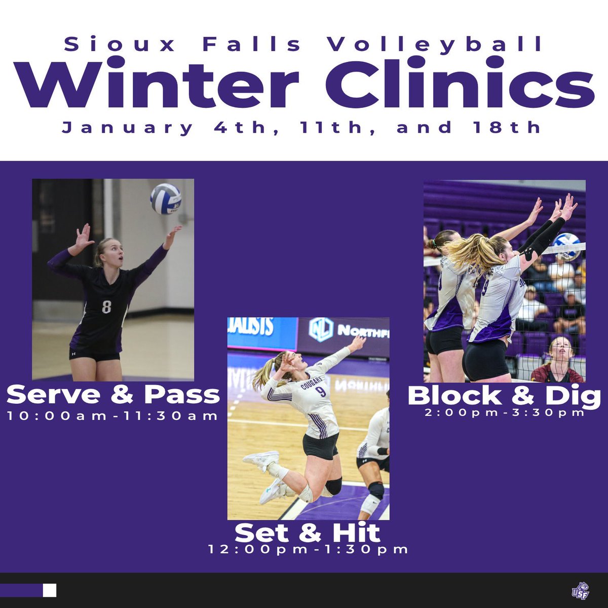 USF Volleyball tweet media