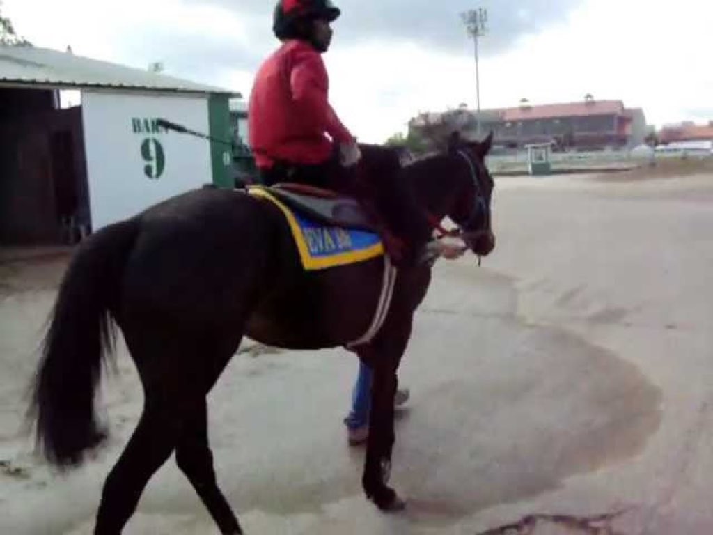 Money Man tweet media