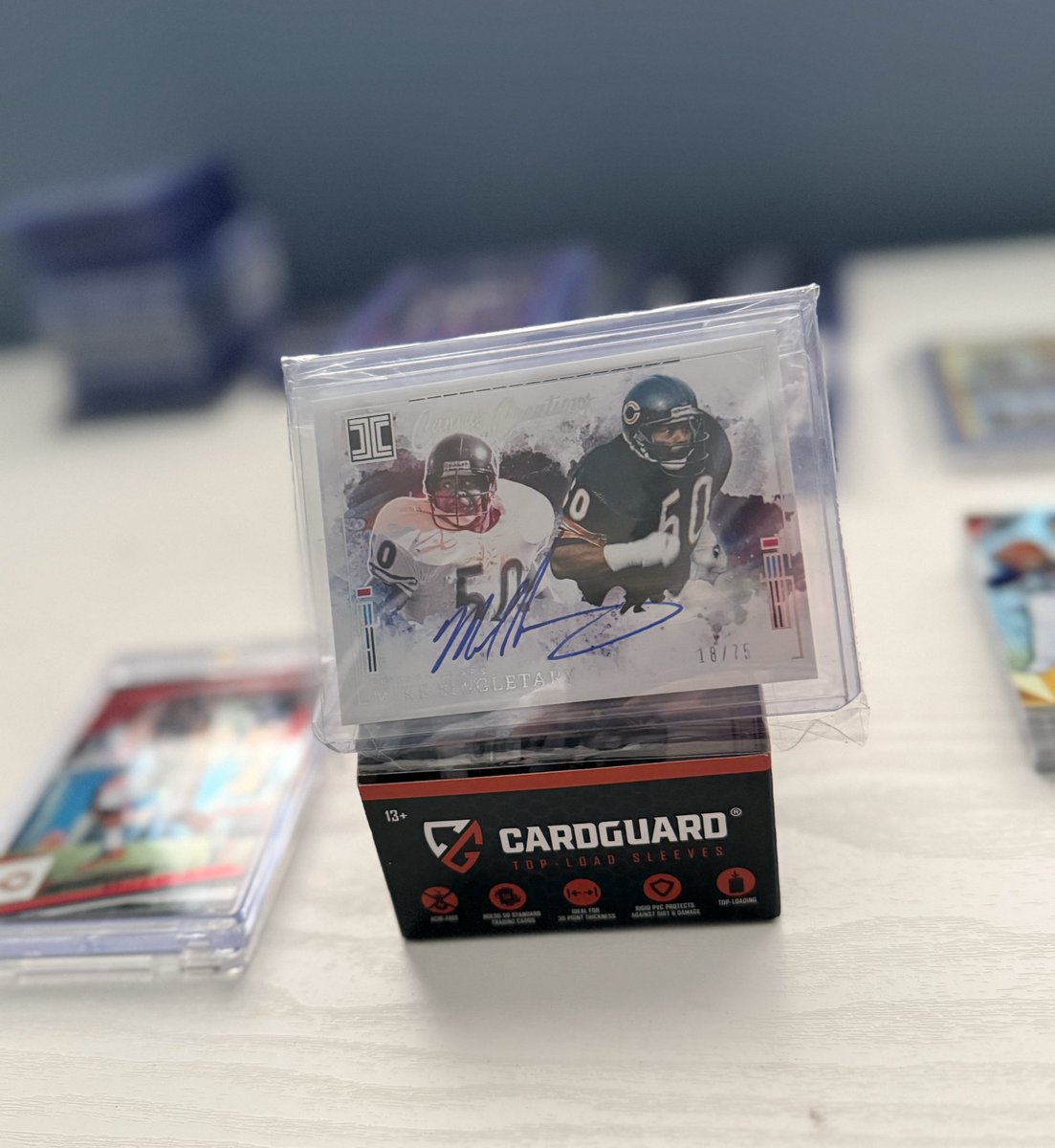 collincollex's tweet photo. lil secret Santa gift I got for Christmas from my cousin in law! On card auto 18/75 canvas creations @MSing50official @ChicagoBears #DaBears #BearDown @PaniniAmerica https://t.co/t5L0eegzHA