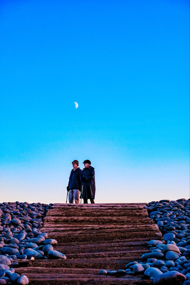 thisdevon tweet media