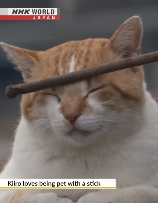 technotheoria's tweet image. #alivetwt #lovetwt #healingtwt