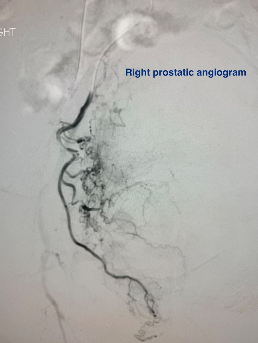 Austin Bourgeois tweet media