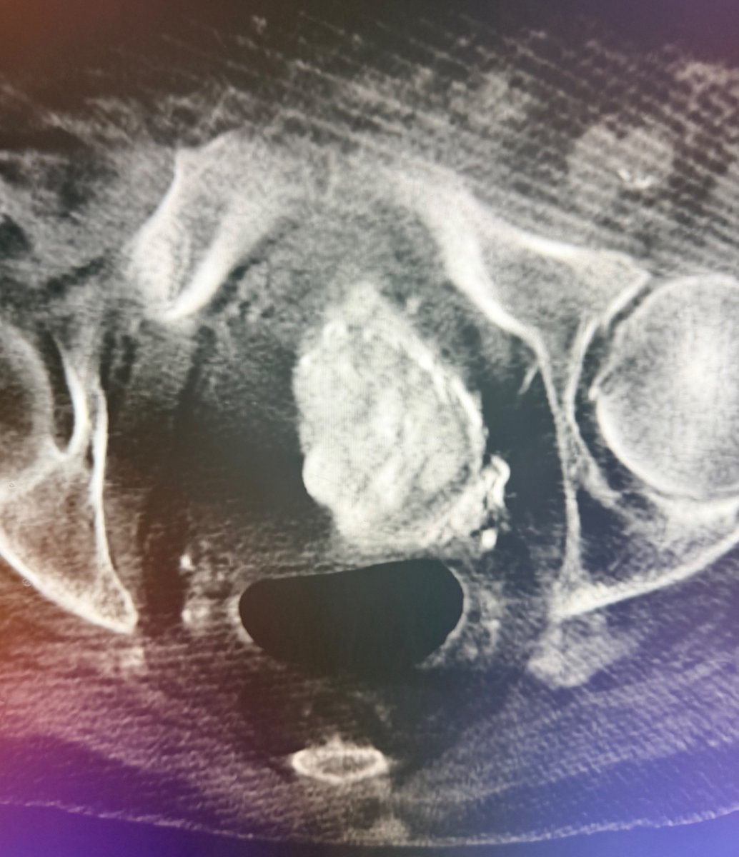 Austin Bourgeois tweet media