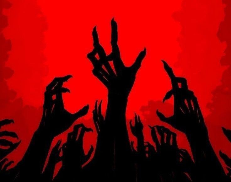 nanaviada 🝪 tweet media