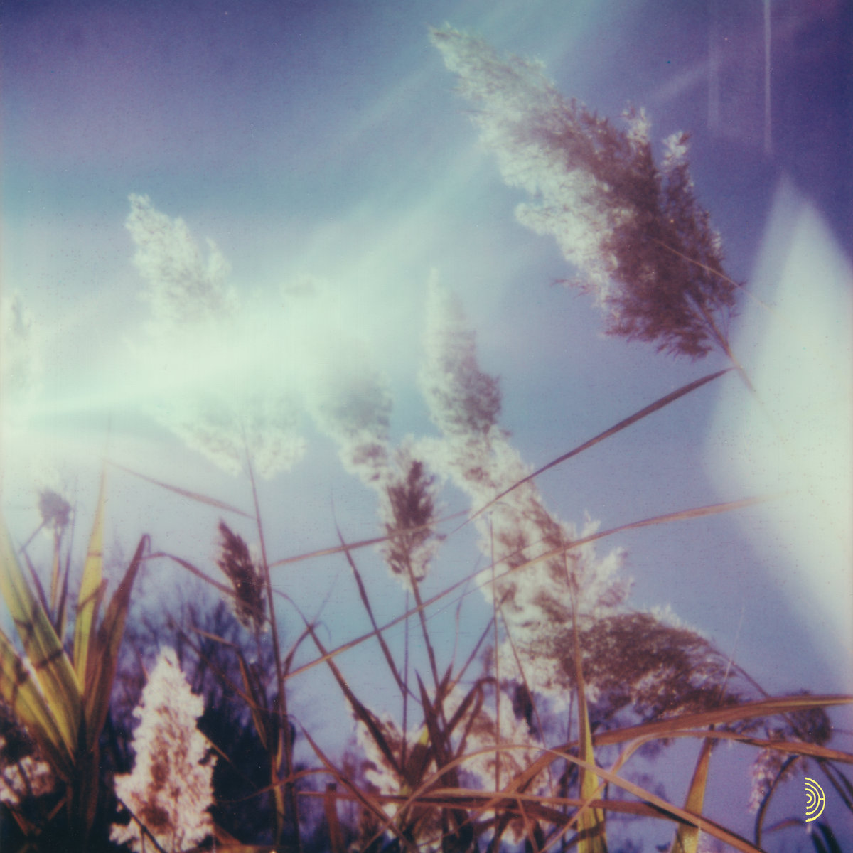 James Turrell tweet media