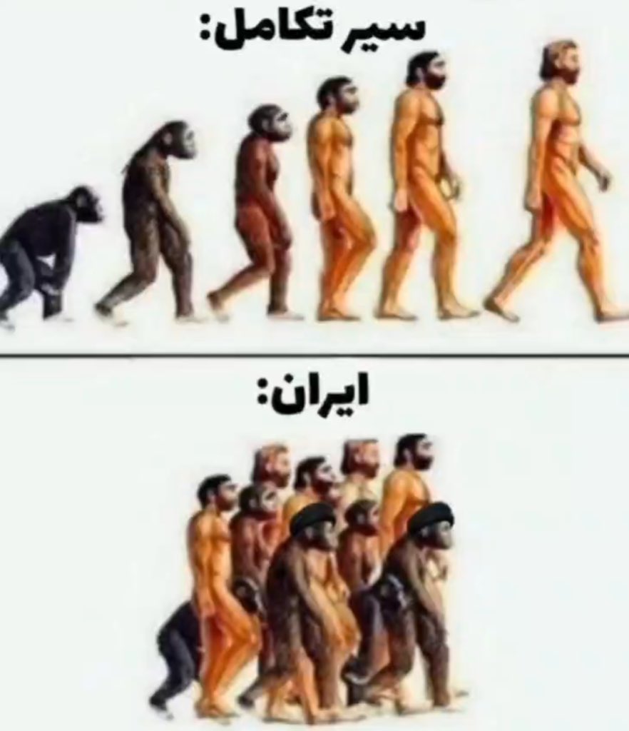Zizi🇮🇷 tweet media