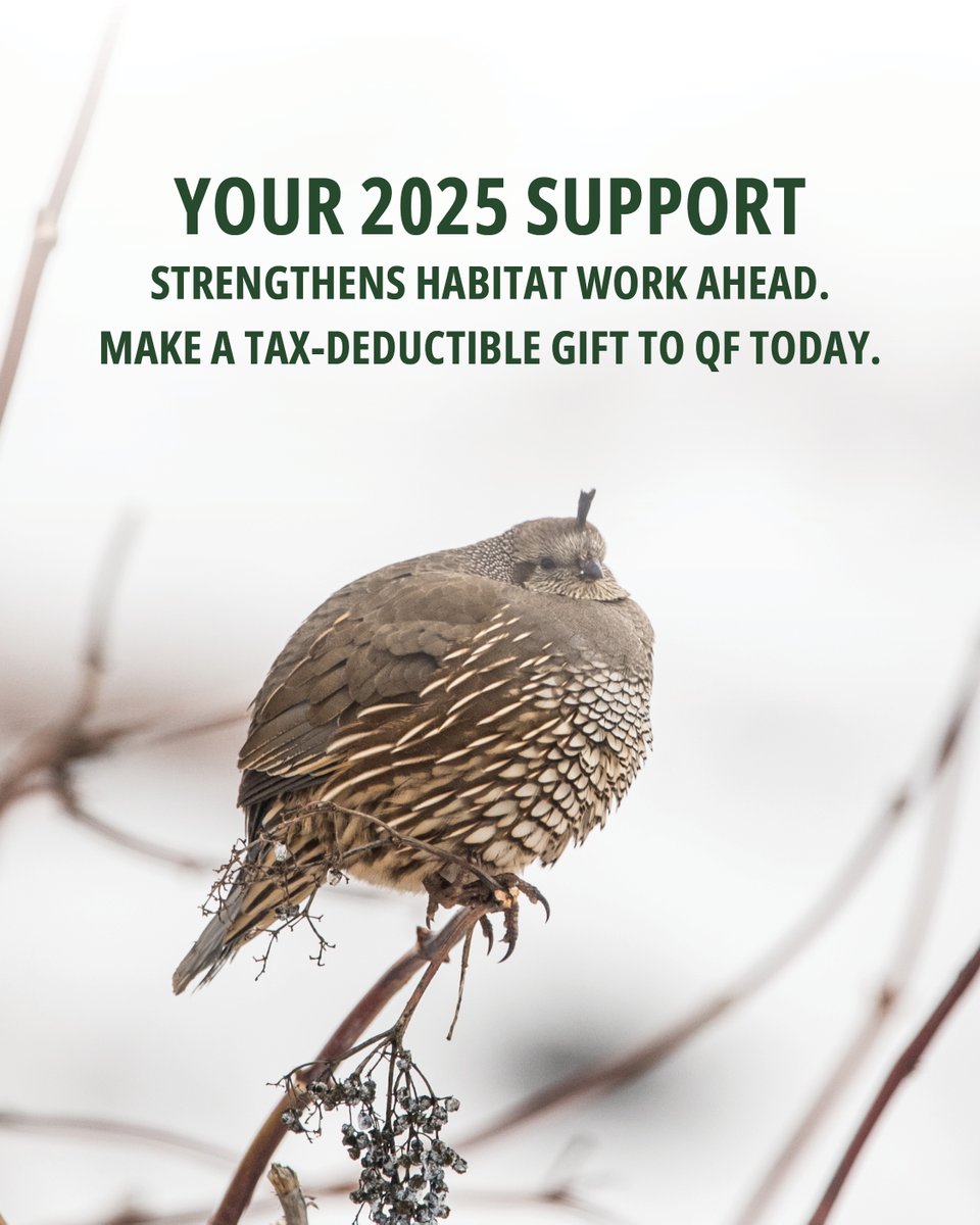 Real conservation is happening right now! Restoring grasslands, supporting upland birds, and connecting young people to the outdoors. Your tax-deductible gift helps accelerate projects already underway and launch new work in 2026. Please consider giving today at the link below
