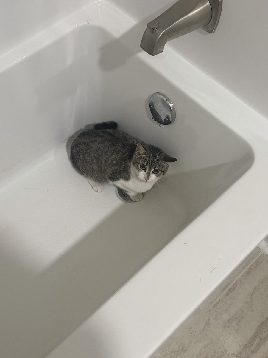 j 🎈 (@sham9x) on Twitter photo 