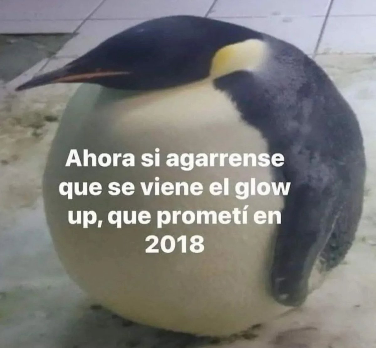 conoloracigarro's tweet image. 